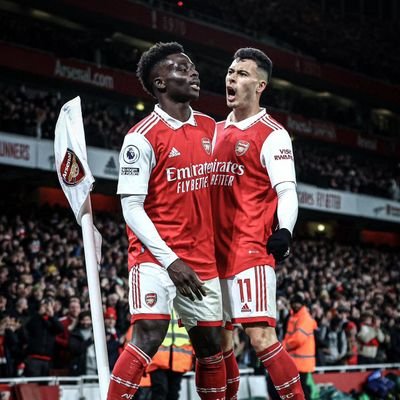 In my veins runs hope, Arsenal is my DNA, introvert.