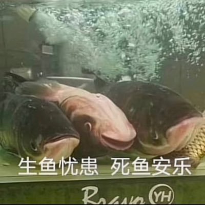 Sesusus1997's profile picture. 183cm nyc