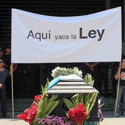 Alfonso_C_M's profile picture. 4a generación - a veces me confunden con @Carrillo_alf (papá). La "derecha" e "izquierda" sirven para el gps.