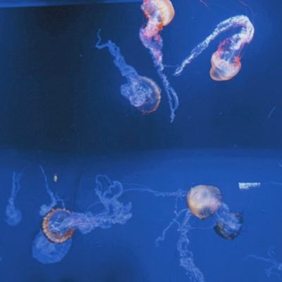 st_8867's profile picture. 