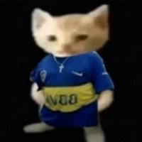 1kero (@1kero2811481) 's Twitter Profile Photo