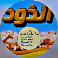 ( الذود ) (@ksa_al5) 's Twitter Profile