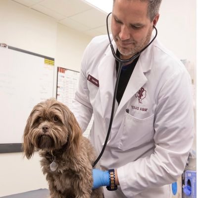 Veterinarian/Tesla Enthusiast