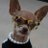 LAssoume's profile image