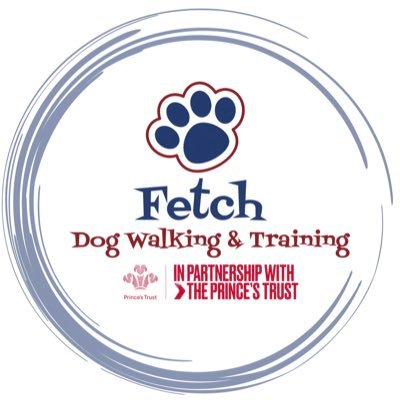 Welcome to Fetch! Voted UK’s Best Dog Walker 2020 & 2021. Norwich's premium dog care provider offering a wide range of dog friendly services.