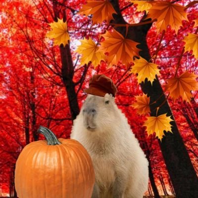 capysversion's profile picture. 