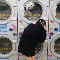 まやしゃん (@mayashan970382) 's Twitter Profile