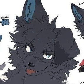 | 🔞🔞🔞 | Male | Omnisexual and Polyamorous | 19 | NO MINORS | No limits | Follow at your own risk | i do erp | Limitless | WIP