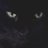 ctcatwoman's profile image