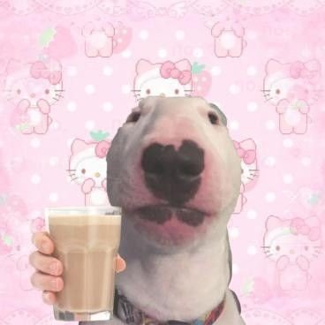 ketzinhableh's profile picture. ket  ket  ket