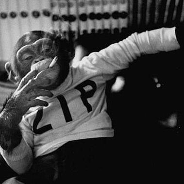 Vodka75741803's profile picture. Satire, commentary, life in Canada as the stomach turns ...