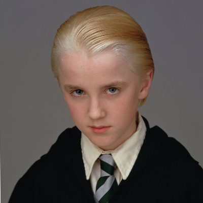 DracoDXY's profile picture. building & scaling