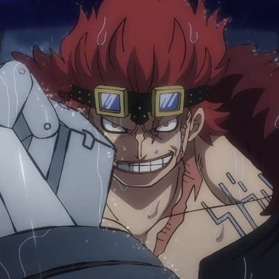 hey crew I'm Eustass Captain Kidd and I like dinosaurs and non lolicon anime