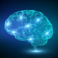 CuriosoTwit 🧠 (@curiosotwit) 's Twitter Profile Photo