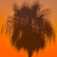 Eltripps (@eltripps) 's Twitter Profile