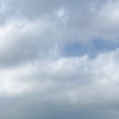 vivlabreche's profile picture. 