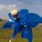 keylimepina's profile image