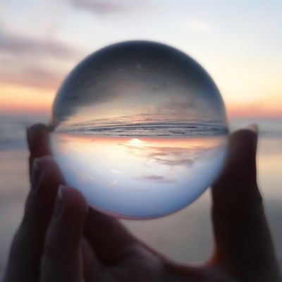 ToniBfw's profile picture. 