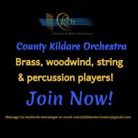 County Kildare Orchestra(@CoKildareOrch) 's Twitter Profile Photo