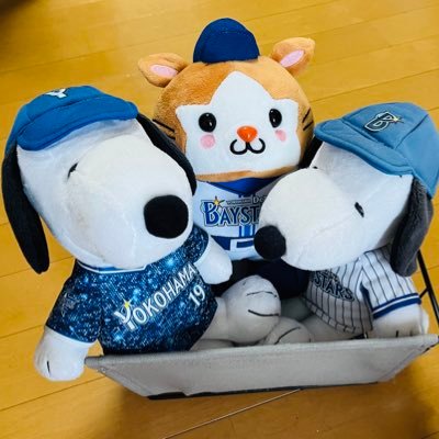 effortkuki's profile picture. お笑い 鬱 ベイスター (*^o^*) #45#59苗木屋、肥料屋(ポゾラン)健康栽培、微生物農法(カルスncrみかん🍊旨い食物の伝道師( ｰ`дｰ´)ｷﾘｯ 嫌パヨク、反日嫌い、移民反対、消費税減税、嫌フェミ、再エネのウソ、嫌マスゴミ‼︎