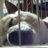 R33typeTY's profile image