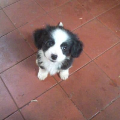 Ryu20943026's profile picture. Holi