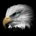 The Liberty Speaks (@imlibertyspeaks) Twitter profile photo The Liberty Speaks (@imlibertyspeaks) Twitter profile photo