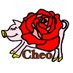 cheo薔薇アクセサリー (@cheoact) Twitter profile photo cheo薔薇アクセサリー (@cheoact) Twitter profile photo