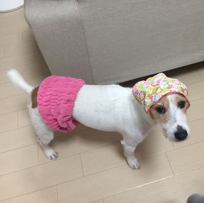 yashikiarale's profile picture. 社畜＋趣味を実益にをモットーに活動して25年になります！
情報交換の輪を拡げたいと思いますのでぜひフォローしてください！
フォロー返しもしますよ😇