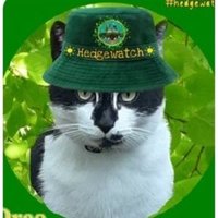 Anna Drehel (@anna_drehel) 's Twitter Profile