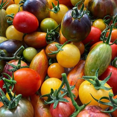 jomurphrey's profile picture. #Blogger * #Writer * #Reader * Disability Case Manager * Risk Mitigator * Damn Good Cook * Foodie * Tar Heel * Retweets are not necessarily Endorsements *