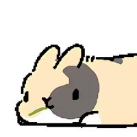 麦当兔喜欢您来🏳️‍⚧️ (@h694867848) 's Twitter Profile Photo