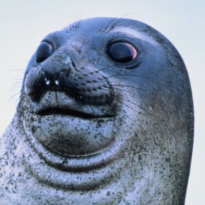 howtoqueef's profile picture. Using this to start a cult/pyramid scheme