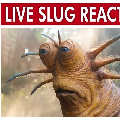 letsrolldrew1's profile picture. 