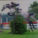 kathy willard - @kathy_willard - Twitter