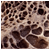 landdav Profile Picture
