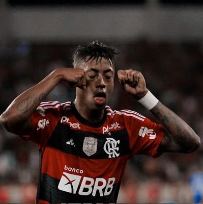 Apaixonado pelo Flamengo