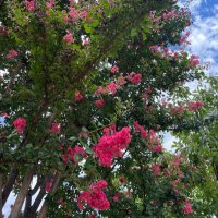 あき (@aki2080) 's Twitter Profile