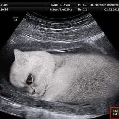 packofjuicy's profile picture. ∞