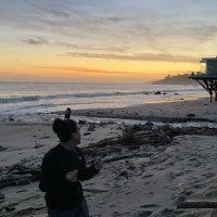 Ravi (@indipino) 's Twitter Profile