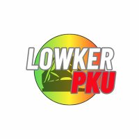 LowkerPKU(@LowkerPKU) 's Twitter Profile Photo