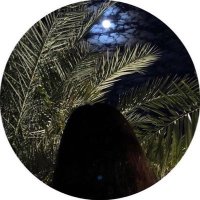 فاديه (@fadiah_ali0) Twitter profile photo