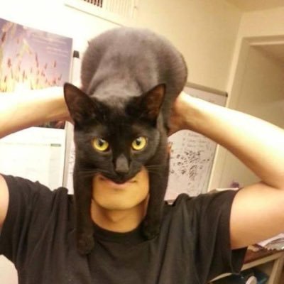 PeiyuTd's profile picture. 