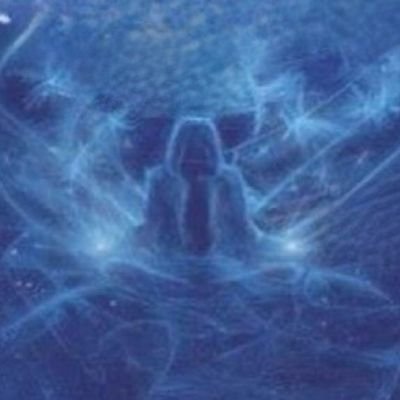 rodrigo__ortega's profile picture. Stay calm and resist. Trekkie. Terapeuta