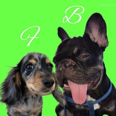 YuiHarlaown's profile picture. I'm kid