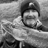 Fishing4Pleasure (@fishing4p) 's Twitter Profile