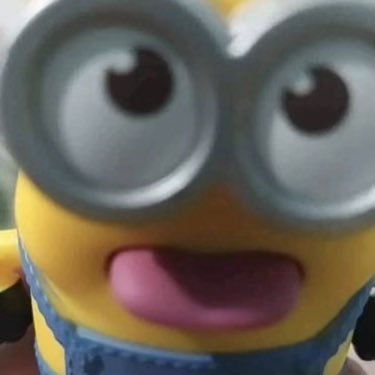 certified minion, duckling, chocopie, kkuma luvr (sorry i rt a lot)