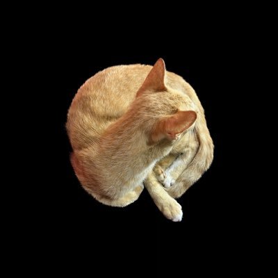 bebigur's profile picture. 