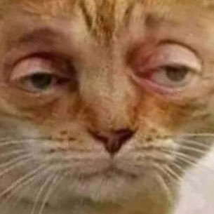 kienbon4444's profile picture. #SuiGlobalRider