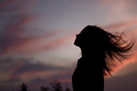 Thede1254707's profile picture. 